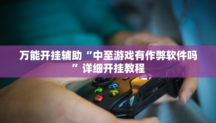 万能开挂辅助“中至游戏有作弊软件吗”详细开挂教程