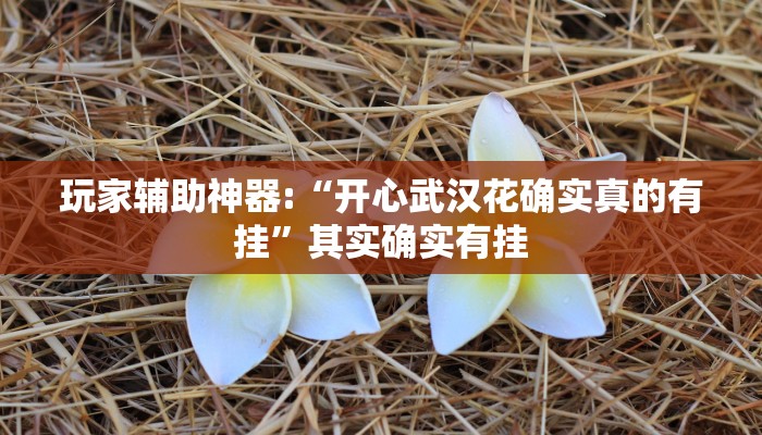 玩家辅助神器:“开心武汉花确实真的有挂”其实确实有挂