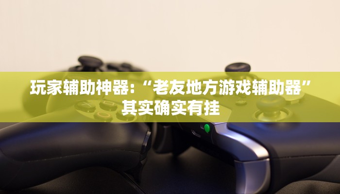 玩家辅助神器:“老友地方游戏辅助器”其实确实有挂