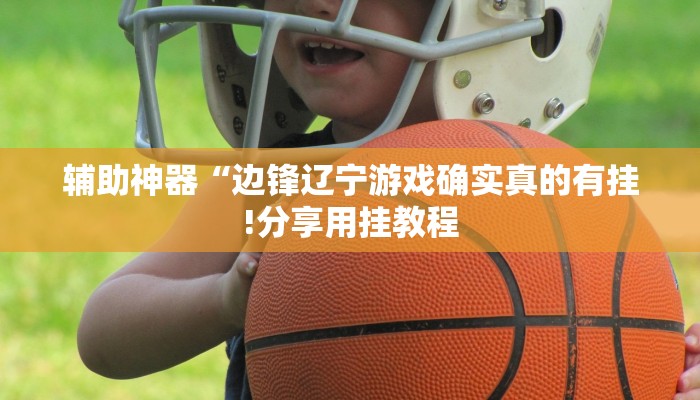 辅助神器“边锋辽宁游戏确实真的有挂!分享用挂教程