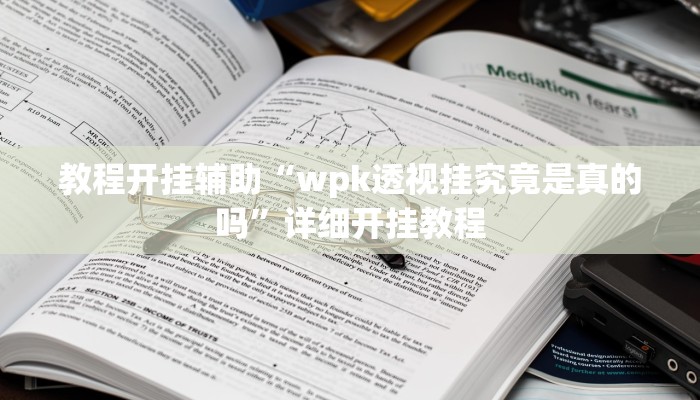 教程开挂辅助“wpk透视挂究竟是真的吗”详细开挂教程