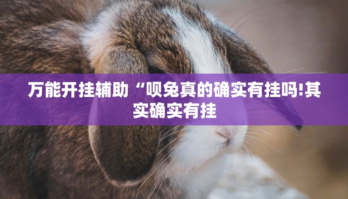 万能开挂辅助“呗兔真的确实有挂吗!其实确实有挂