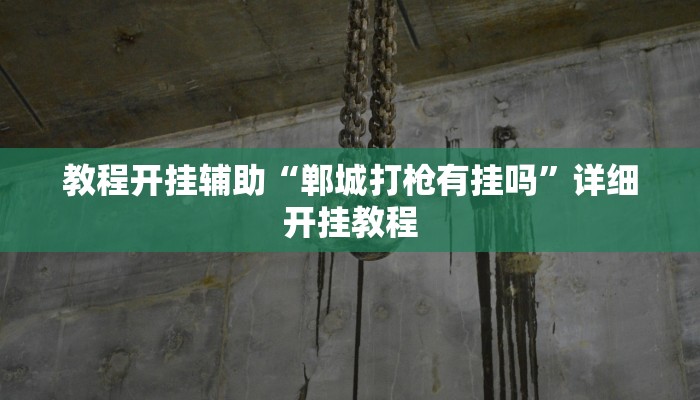 教程开挂辅助“郸城打枪有挂吗”详细开挂教程