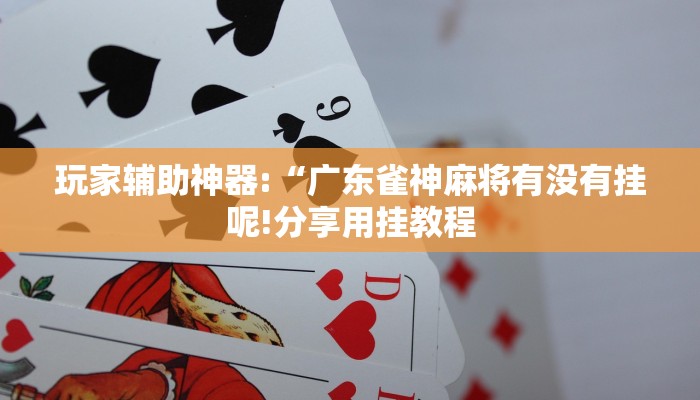 玩家辅助神器:“广东雀神麻将有没有挂呢!分享用挂教程