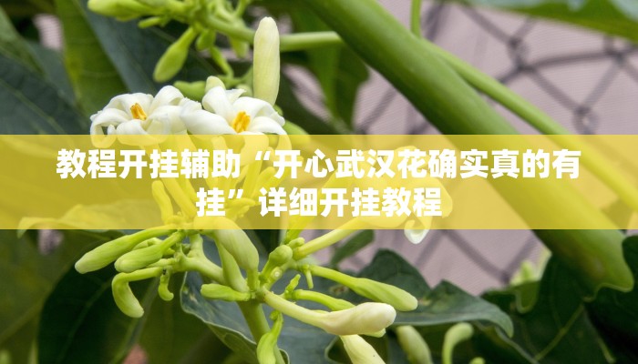 教程开挂辅助“开心武汉花确实真的有挂”详细开挂教程