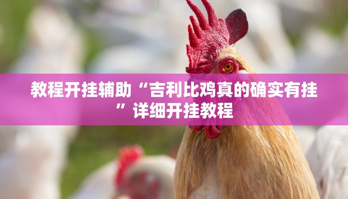 教程开挂辅助“吉利比鸡真的确实有挂”详细开挂教程