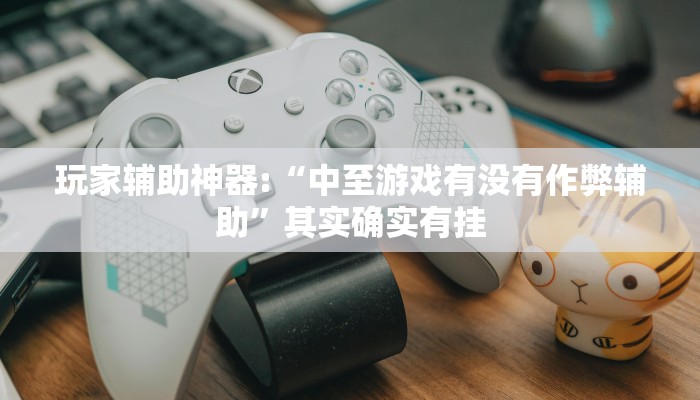 玩家辅助神器:“中至游戏有没有作弊辅助”其实确实有挂
