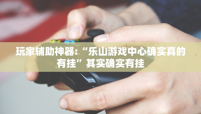 玩家辅助神器:“乐山游戏中心确实真的有挂”其实确实有挂