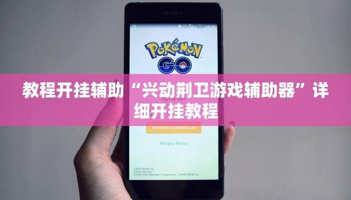 教程开挂辅助“兴动荆卫游戏辅助器”详细开挂教程