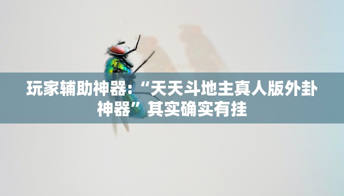 玩家辅助神器:“天天斗地主真人版外卦神器”其实确实有挂