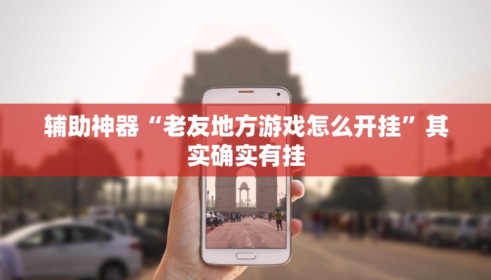 辅助神器“老友地方游戏怎么开挂”其实确实有挂