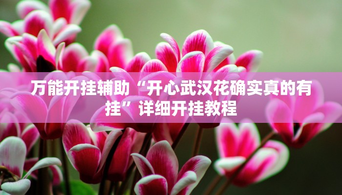 万能开挂辅助“开心武汉花确实真的有挂”详细开挂教程