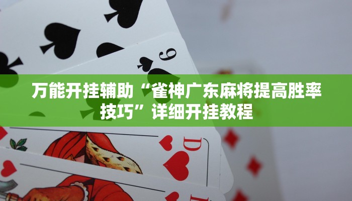 万能开挂辅助“雀神广东麻将提高胜率技巧”详细开挂教程
