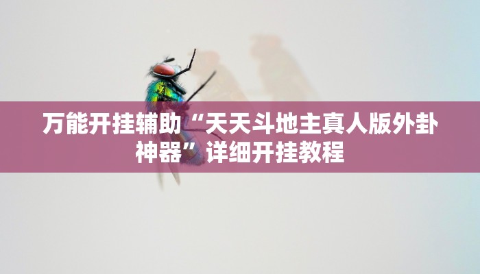 万能开挂辅助“天天斗地主真人版外卦神器”详细开挂教程