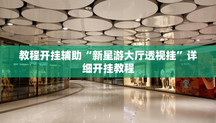 教程开挂辅助“新星游大厅透视挂”详细开挂教程