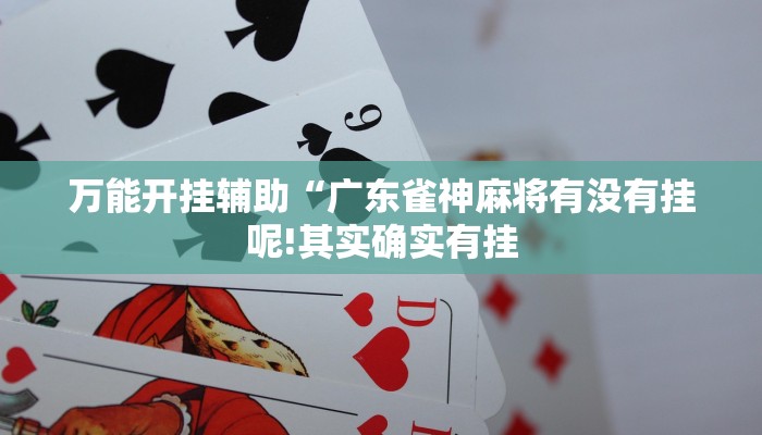 万能开挂辅助“广东雀神麻将有没有挂呢!其实确实有挂